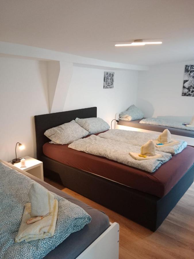 Zentrum 6 Apartment
